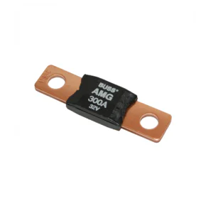 Bussmann – 300A Fuse, 32V